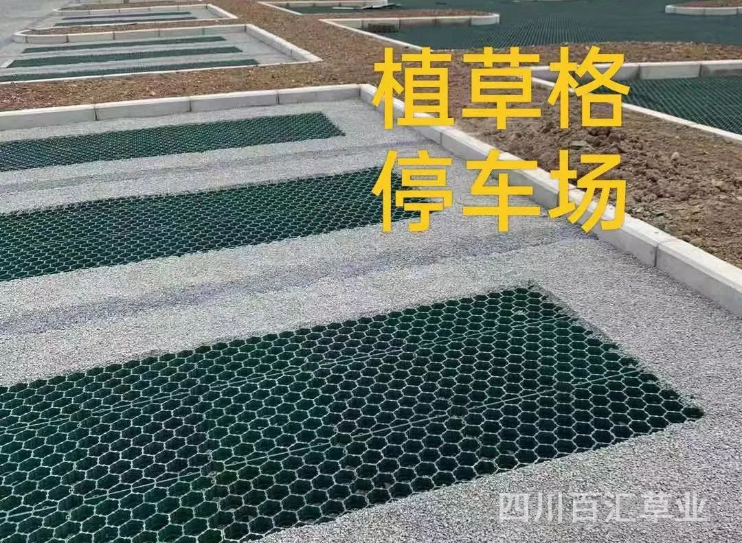 停車場植草格